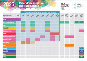 Calendrier 2025 simplifié des vaccinations (carte postale)
